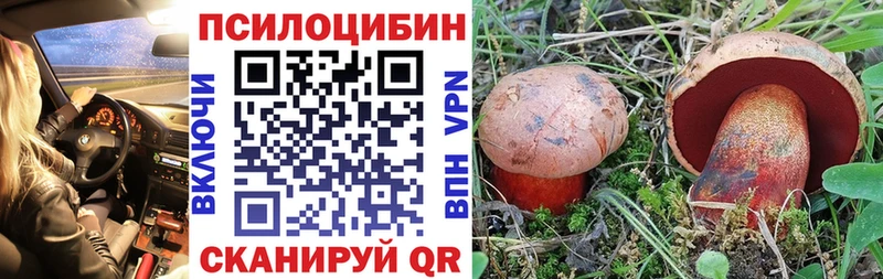 Галлюциногенные грибы MAGIC MUSHROOMS  дарнет шоп  Можга 