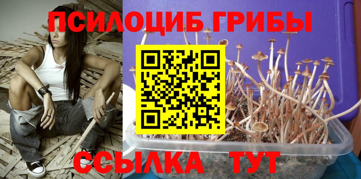 Галлюциногенные грибы GOLDEN TEACHER  Галлюциногенные грибы мухоморы  Можга  Вход с VPN 